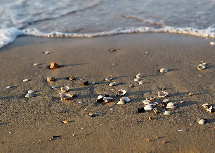 Welcoming Flat For 6 Guests Next To The Bibione