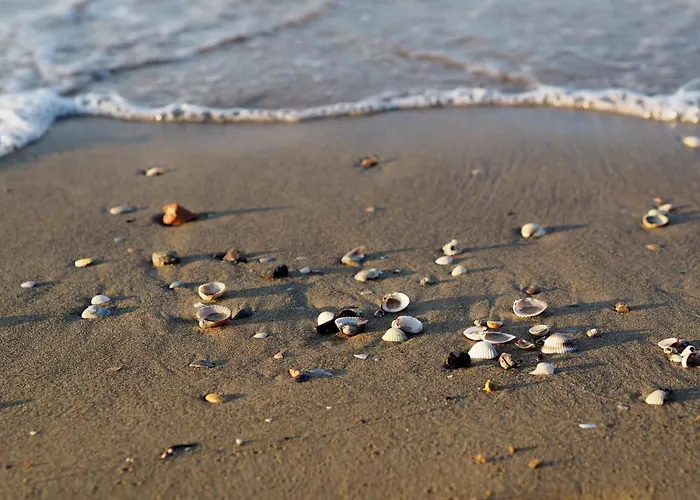 Welcoming Flat For 6 Guests Next To The